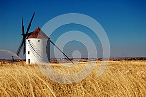 Spanish windmill