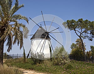 Spanish Windmill - Torre Pacheco - Murcia - Spain photo