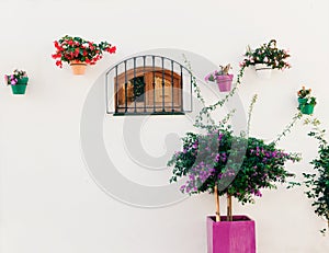 Spanish window with flowers