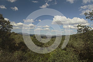 Spanish woodland landscape bathed in the sunglight