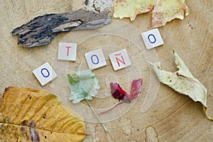 The Spanish word Otono in letters photo