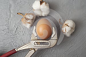 A Spanner wrench Holding An Egg on gray cement background