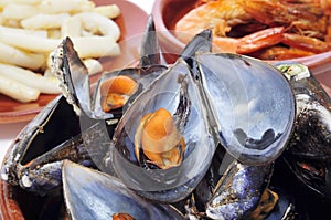 Spansih seafood tapas
