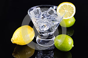 Sparkling beverage in a martini glass with lemons and limes