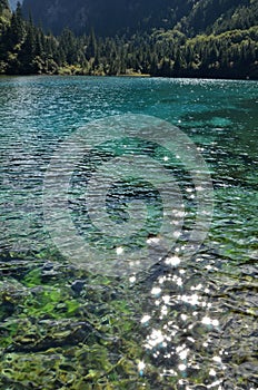 Sparkling colorful wuhua lake ,jiuzhai valley,china