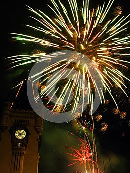 Espumoso fuegos artificiales sobre el palacio 