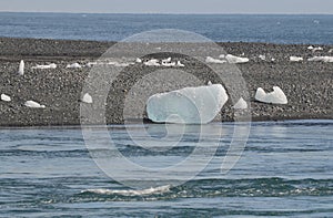 Sparkling Glacier on the shore of Iceland