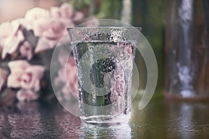 Sparkling glass of water