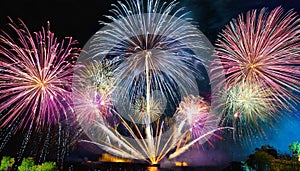 Sparkling Night: The magnificent fireworks display on New Year\'s Eve