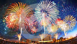 Sparkling Night: The magnificent fireworks display on New Year\'s Eve