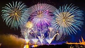 Sparkling Night: The magnificent fireworks display on New Year\'s Eve