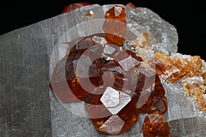 Spessartine garnets crystals on Smoky Quartz photo