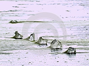 sparkling shards of cracked ice jut out on the frozen lake. The light effect occurs