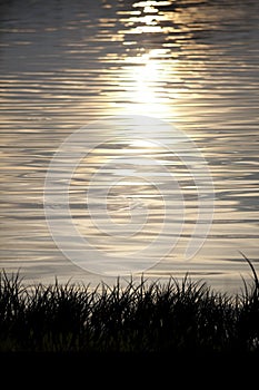 Sparkling water with lights of sunset vertical