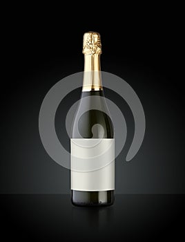 Sparkling White Wine Bottle