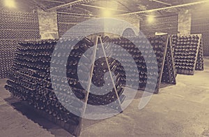 Sparkling wine bottles fermenting in winery cellar