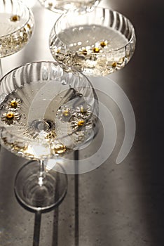 Sparkling wine with daisy flowers. Top view