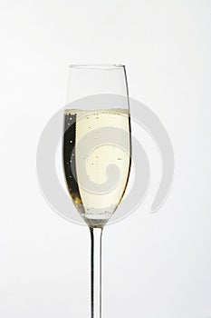 Sparkling Wine Glass - Sektglas