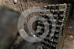 Sparkling wine making. Dusty old white wine bottles on racks covered in mold