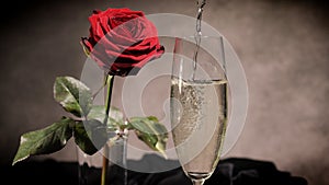 Sparkling wine and red roses in close-up