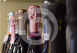 Sparkling wines from different countries are placed on the store shelf.
