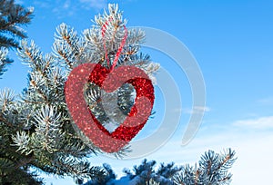 Sparkly red heart hanging on pine tree branches