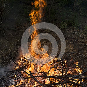 Sparks of fire on a black background