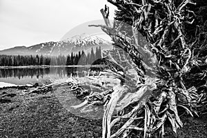 Sparks Lake, Oregon