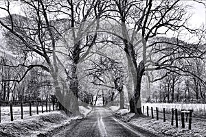 Sparks Lane At Cades Cove