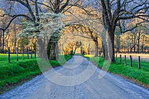 Sparks Lane, Cades Cove, Great Smoky Mountains