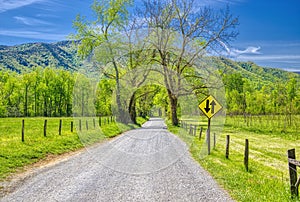 Sparks Lane in the Cades Cove Section of the GSMNP