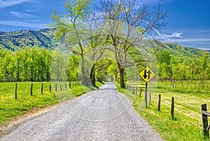 Sparks Lane in the Cades Cove Section of the GSMNP photo