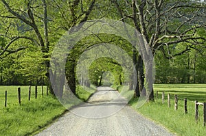 Sparks Lane in Cades Cove of Smoky Mountains, TN,