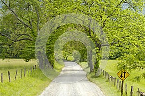 Sparks Lane in Cades Cove of Smoky Mountains, TN, USA.