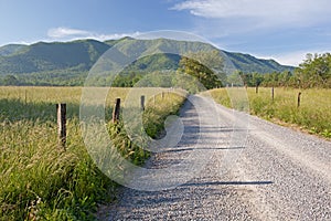 Sparks Lane, Great Smoky Mountains