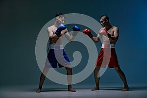 Sparring of two fighting males boxers during battle in blue studio light, martial arts, mixed fight concept