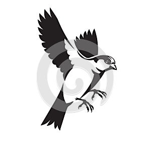 Sparrow bird flying vector black and white color