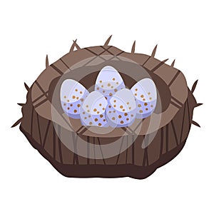 Sparrow eggs icon isometric vector. Bird house