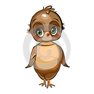 Sparrow girl. Funny chick. Cute and funny baby bird. The isolated object on a white background. Illustration. Cartoon