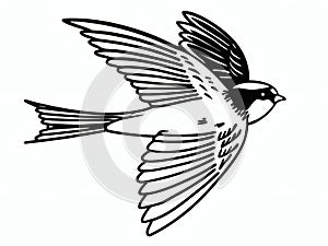 Sparrow Line Art Minimal Continuous Drawing