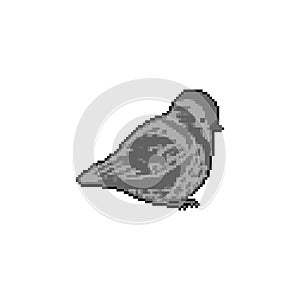 Sparrow pixel art. 8 bit Small bird. Vector illustration