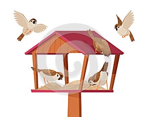 Sparrows in birdhouse. Chirp birds characters flying and eating crumbs in birdhouse exact vector cartoon background photo