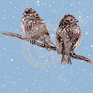 Sparrows on a tree branch