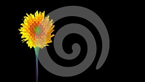 Sparse animation of fantasy flower resembling sunflower