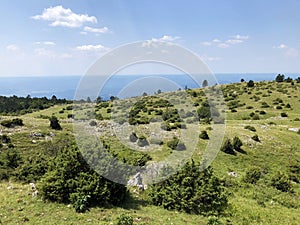 Sparse forests and pastures on the Cicarija mountain and in the Ucka nature park - Istria, Croatia / ProrijeÄ‘ene Å¡ume