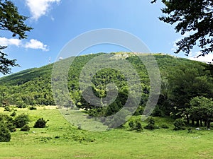 Sparse forests and pastures on the Cicarija mountain and in the Ucka nature park - Istria, Croatia / ProrijeÄ‘ene Å¡ume