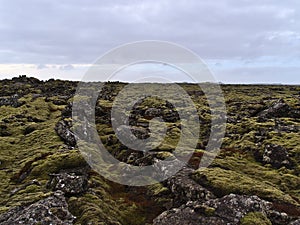 Sparse landscape with lava field with rocky fissures covered by green moss and lichens near Grindavik, Reykjanes, Iceland.