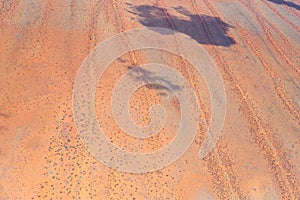 sparse vegetation on dune stripes of Kalahari, near Pokweni, Namibia