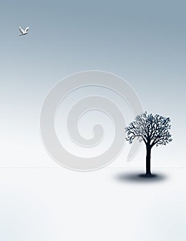 Sparse Winter Landscape