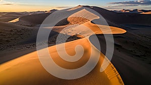 Are sparsely scattered across the sand adding subtle texture